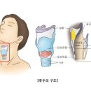 인성기념의원 이미지