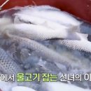 어부회식당 이미지