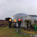 진막창GoGo | 24"제주도워크샵