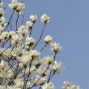 홍매뜨락협동조합 이미지