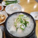 세븐일레븐 송도스마트벨리 | 인천 송도 스마트밸리 맛집 장수한방삼계탕 맛있어