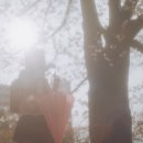 태평양실사