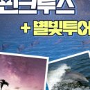 놀다투어
