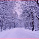 추억만들기펜션 이미지