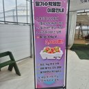 온누리농장 | 논산에 딸기 따러간 후기 온누리농장