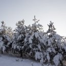 송학2리 이미지