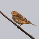 탄천 연원마을 이미지