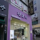 보라애견샵