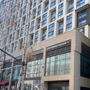 똥손아케이드 | 판교 미용실 차홍룸 가격 중단발 레이어드컷 염색 후기