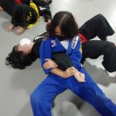 태권도덕진체육관 이미지