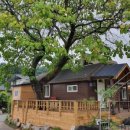 동송민박 이미지