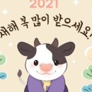 화성상회 이미지
