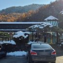 스완흑염소 이미지