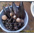 대곡 바다 이미지