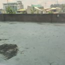 중앙동172 이미지