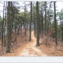 승삼마을 이미지