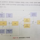 Re: 기대이론, 포터와 롤러의 업적만족이론, 포터와 롤러의 기대이론, 포터와 롤러의 모티베이션모델 이미지