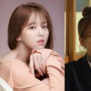 안다비 카카오 검색결과