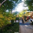 한림어린이공원 이미지