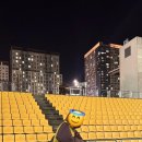베스트핏 이미지