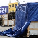 77무도장 이미지