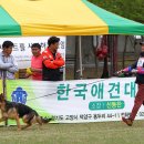 Gumiland 이미지
