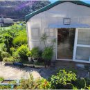 포레스트약국 이미지