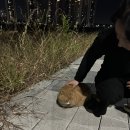 개미옷수선 - 평택시 통복시장로21번길 29 | 개미옷수선