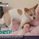 봉구
