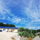 울루라떼 이미지