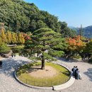 광주039 | <경기, 광주> 화담숲의 새로운 볼거리 화담채 전시관 상세 리뷰 및 관람 꿀팁