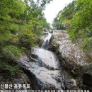 등뼈가삼남점 | [울주] 신불산(神佛山·1159ｍ) 공룡능선 산행후기---2024년 10월 6일(일)