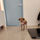 송내동3 이미지