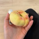 다감영어 | 요즘엔 막연히 꿈꾸던 일들을 이뤄가고 있어 | 🇨🇦 26.06 (2/2)