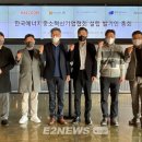 태동 이미지