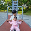 새아침공원 | [아이와 가볼만한 곳] 인천 연수구 새아침공원 놀이터