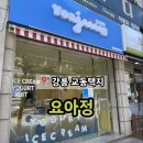 요거트아이스크림의정석 강릉교동택지점 | 강릉 교동택지 요거트아이스크림의정석 '요아정'