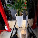 우리휘트니스 이미지