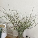 남강꽃식물원