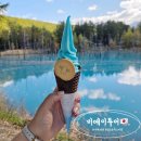 댕댕이샾 | 비에이투어 마이재팬 후라노 버스투어 삿포로 당일치기 여행 추천