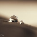 자기의 욕망에 집중하라 이미지