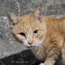 노브랜드버거 부산당감점 이미지