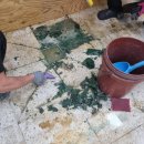 곤충생태관_4 이미지