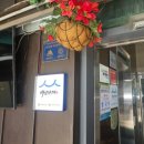 고향집 삼계탕 | 고향집 칼국수 동대구 신천동본점 내돈내산 솔직후기