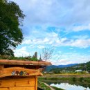 무릉도원면-34 이미지