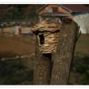 혁이농장 이미지