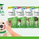 도그플러스 동물병원 이미지