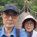 양구 한반도섬. 두타연. 백자박물관. 1일. 2 이미지