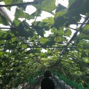 샤인농부협동조합 이미지