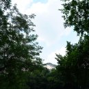 주전부리 - 구미시 산호대로 233 | 상계중앙시장 주전부리 불암산나비정원 평일 피크닉 내돈내산 솔직후기
